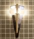 Світильник Факел TL 100 з дерев'яним стрижнем Cariitti для лазні та сауни 01056 зображення - 1